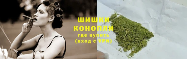 бошки Верея